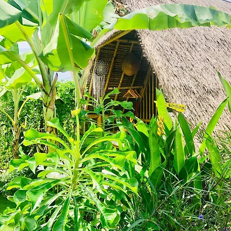 Eco Lovebamboo